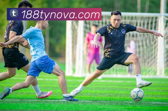 188体育服务体系